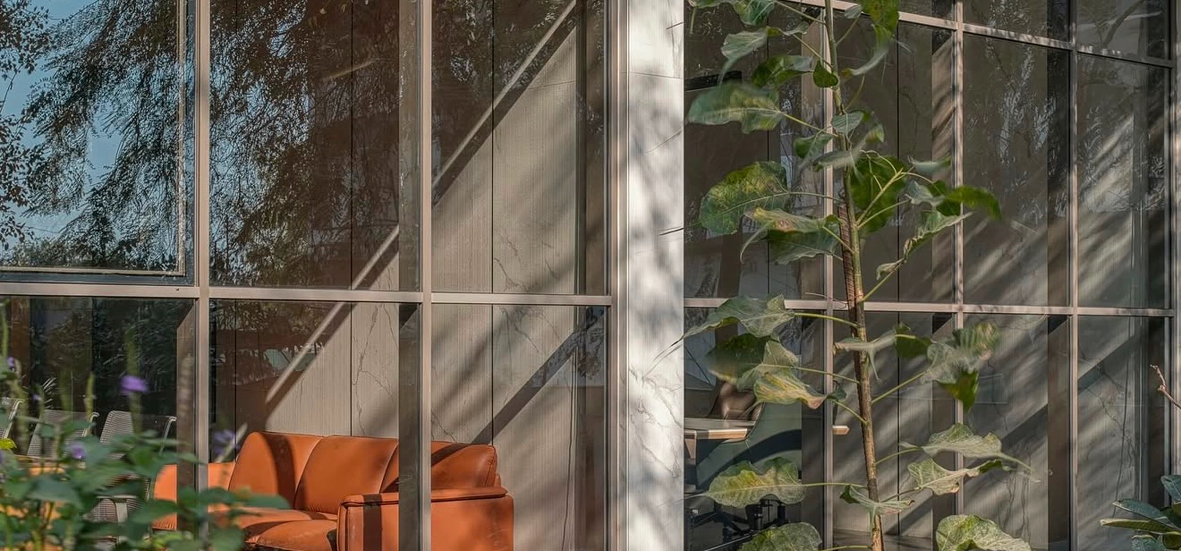 The Architecture of Light: Insights into Modern Fenestration